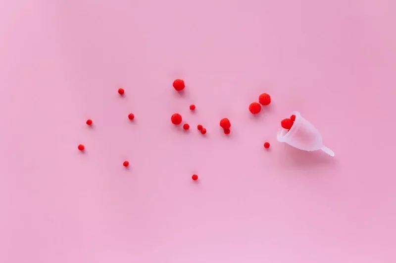 눈썹 탈색 제품, 다이소·졸렌·엔트로피 비교