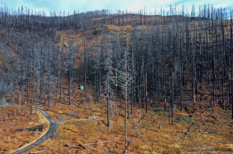 눈썹 탈색 후 노란색 대신 자연 갈색 만드는 방법