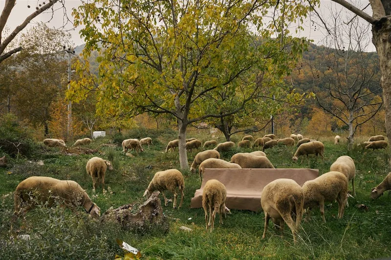 눈썹 탈색 후 노란색 대신 자연 갈색 만드는 방법