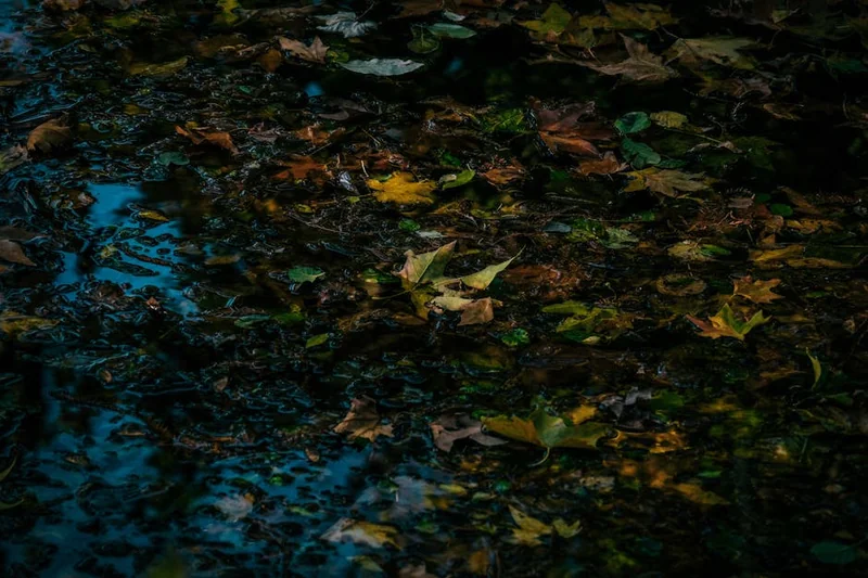 눈썹 탈색 후 눈썹 문신하면 색이 변할까?