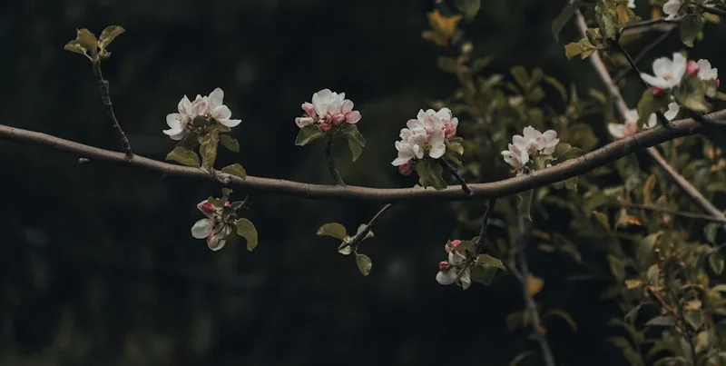 눈썹 탈색 후 자외선 차단 필요성