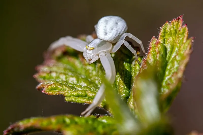 눈썹 탈색 후 피부 건조해지는 이유