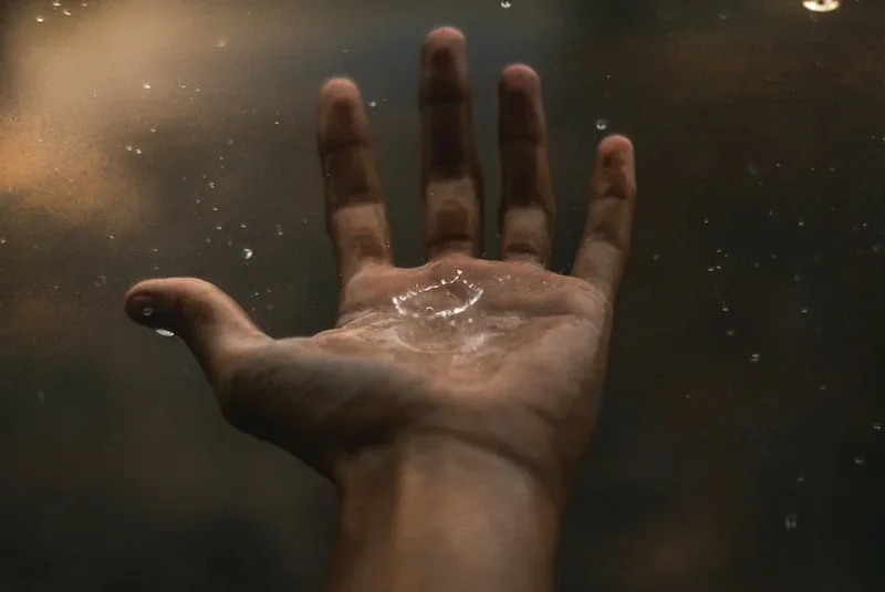 눈썹 탈색 후 피부 손상 막는 성분