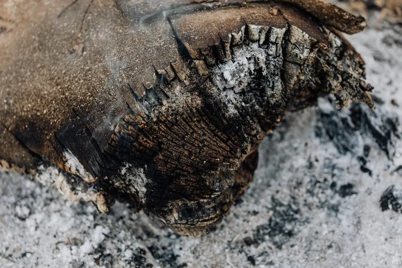 눈썹 탈색 후 화상 자국 없애는 법