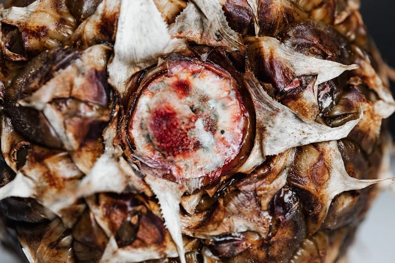 눈썹 탈색 후 회복 빠르게 하는 음식