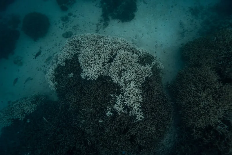 눈썹 탈색이 잘 되는 시간대