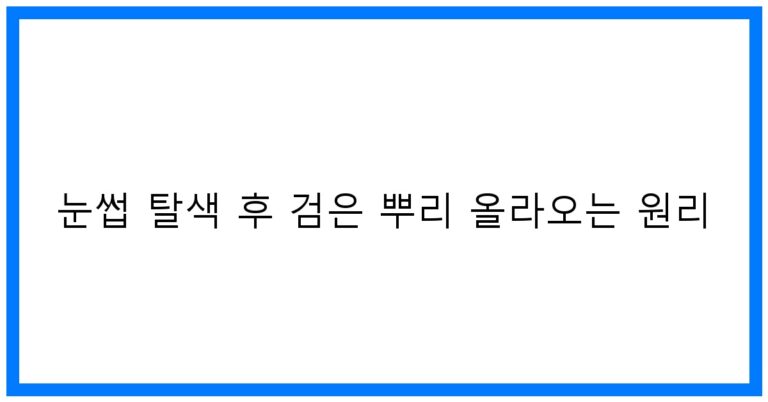 눈썹 탈색 후 검은 뿌리? 원리부터 관리 꿀팁!
