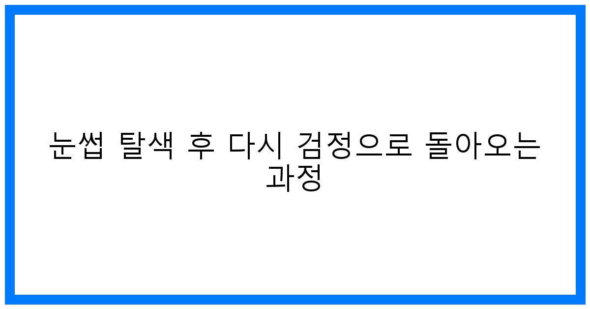 thumbnail 눈썹 탈색 후 다시 검정으로 돌아오는 과정