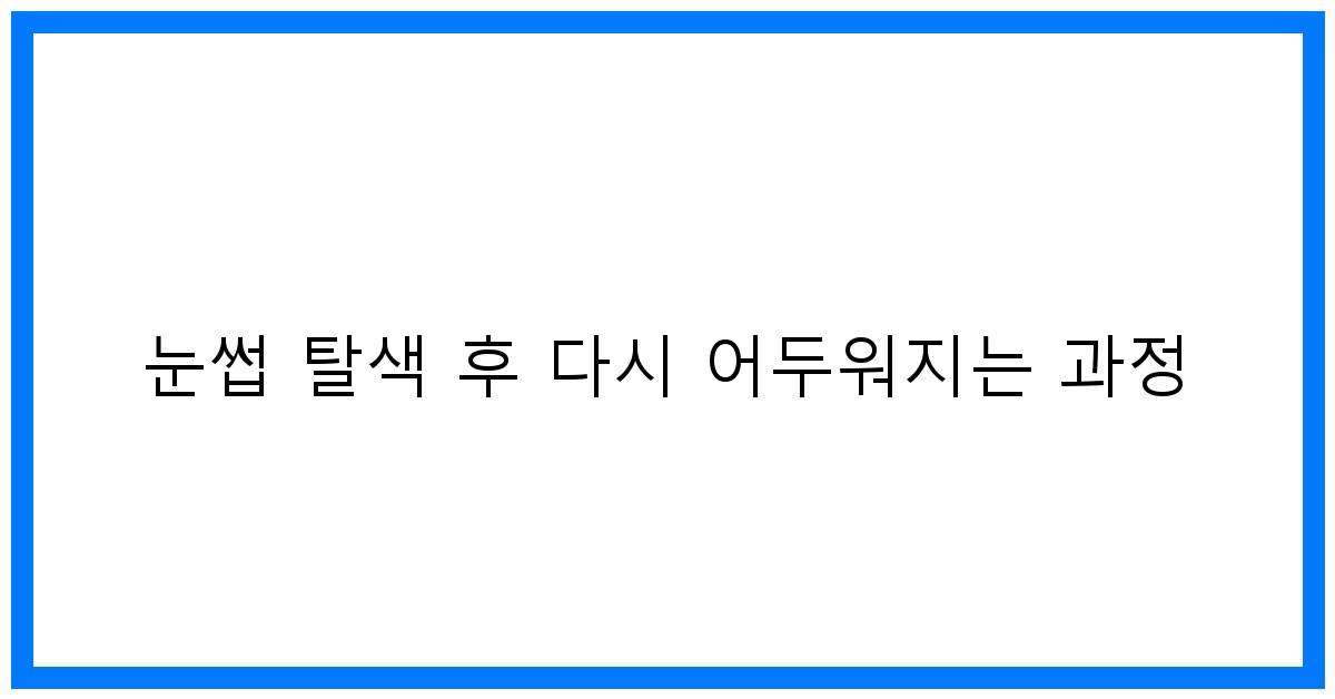 thumbnail 눈썹 탈색 후 다시 어두워지는 과정