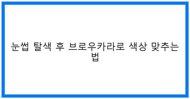 눈썹 탈색 후 브로우카라 꿀팁! 완벽 컬러 매칭