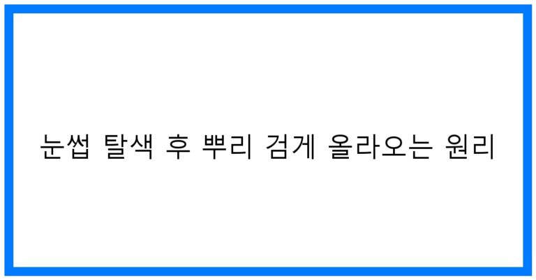 눈썹 탈색 후 뿌리 검게 올라오는 원리! 꿀팁 대방출