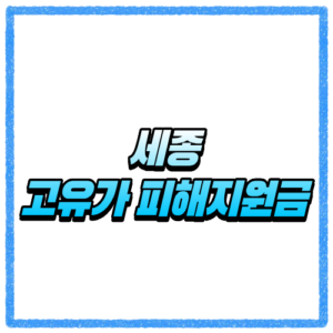 세종 고유가 피해지원금 신청방법 대상조회 지급일 지급 기준 한눈에