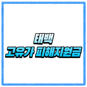 강원 태백시 고유가 피해지원금 신청방법, 대상 조회와 지급 기준 바로 확인