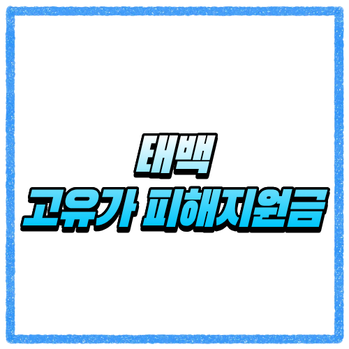 태백 고유가 피해지원금