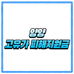 강원 양양군 고유가 피해지원금 신청방법, 대상 조회와 지급 기준 바로 확인